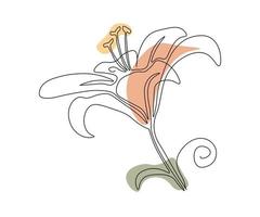 la fleur de lys est dessinée à la main dans un style minimaliste, dans la technique d'une seule ligne, une monoline. symbole cosmétique, logo de salon de beauté vecteur