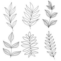 ensemble de feuilles dessinées à la main isolées sur fond blanc. éléments floraux monochromes, croquis vectoriel de parties de plantes.