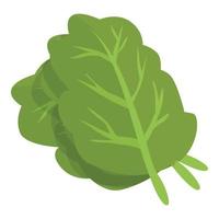 vecteur de dessin animé d'icône de feuille de salade verte. nourriture végétale
