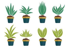 Yucca Icons plantes vecteur libre