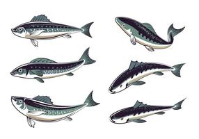 Set frais Sardines main style Drawn vecteur