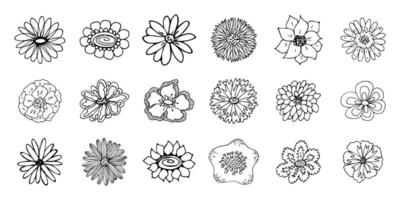 clipart fleur simple. ensemble de doodle floral dessiné à la main. pour l'impression, le web, le design, la décoration, le logo vecteur