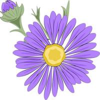 fleur violette isolé sur fond blanc vecteur
