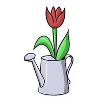 une tulipe rouge se dresse dans un arrosoir en métal, illustration vectorielle en style cartoon sur fond blanc vecteur