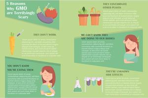 modèle infographique effrayant gmo vecteur