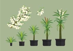 Yucca gratuit Vecteurs plantes vecteur