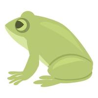 vecteur de dessin animé icône grenouille. vert mignon