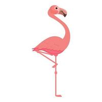 vecteur de dessin animé d'icône de support de flamant rose. oiseau rose