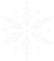 symbole nouvel an noël flocon de neige icône vecteur