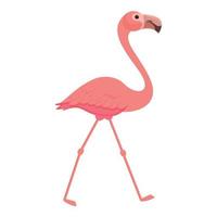 vecteur de dessin animé d'icône de marche de flamant rose. oiseau rose