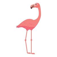 vecteur de dessin animé d'icône de flamant paradisiaque. oiseau rose