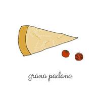 fromage grana padano dessiné à la main. vecteur