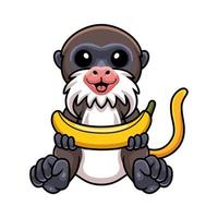 dessin animé mignon petit singe tamarin tenant une banane vecteur