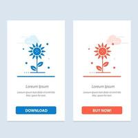 tournesol floral nature printemps bleu et rouge télécharger et acheter maintenant modèle de carte de widget web vecteur