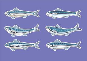 Vector Illustration pour bureau ou Sardine Sardine européenne