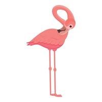 vecteur de dessin animé d'icône de flamant de faune. oiseau tropical rose