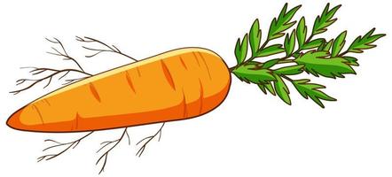 carotte simple sur fond blanc vecteur