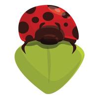 vecteur de dessin animé icône feuille coccinelle. coccinelle printemps