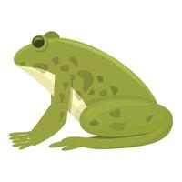 vecteur de dessin animé d'icône de grenouille d'eau. personnage mignon