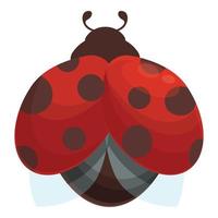 vecteur de dessin animé d'icône de coccinelle d'aile. coccinelle