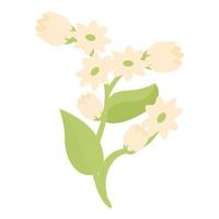 vecteur de dessin animé d'icône de fleur de sarrasin. plante céréalière