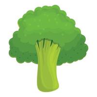 icône de brocoli au chou, style cartoon vecteur