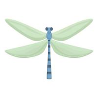 vecteur de dessin animé icône libellule aile verte. punaise insecte