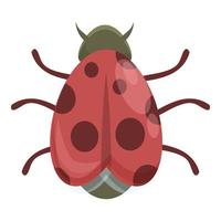 vecteur de dessin animé icône coccinelle rouge. coccinelle