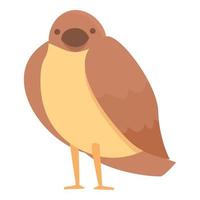 vecteur de dessin animé d'icône de moineau forestier. animal oiseau