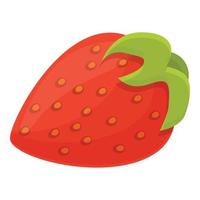 icône de vitamine de fruit, style cartoon vecteur