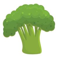 icône de brocoli vitaminé, style cartoon vecteur