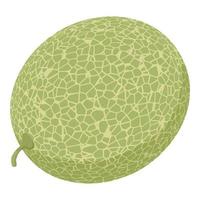 icône de melon de jardin entier, style isométrique vecteur