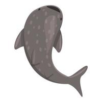 vecteur de dessin animé d'icône de requin-baleine de la faune. poisson de mer