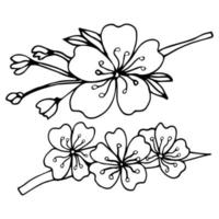 doodle botanique dessiné à la main de pomme, sakura, cerisier et fleur de prunier. illustration vectorielle floral en contour noir sur fond blanc à colorier. vecteur