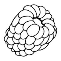 dessin vectoriel de framboise. croquis de branche de baies isolées sur fond blanc. illustration de style gravé de fruits d'été. nourriture végétarienne détaillée dessinée à la main. idéal pour l'étiquette, l'affiche, l'impression