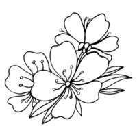 icône de doodle de fleur de sakura. ligne arrière isolée sur blanc. dessin floral de contour d'une ligne. illustration vectorielle vecteur