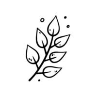 branche d'arbre dessinée à la main avec des feuilles, élément d'automne. illustration vectorielle dans un style doodle. isolé sur blanc. vecteur