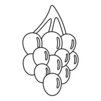 icône de raisin du sud, style de contour vecteur