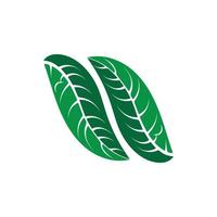 logos de l'écologie des feuilles d'arbre vert vecteur