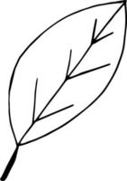 icône de feuille, autocollant, décor, album. croquis doodle dessiné à la main. minimalisme monochrome scandinave. décor de printemps d'été vecteur