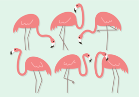 Vecteur libre mignon Flamingos