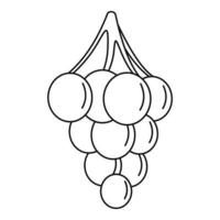 icône de raisin doux, style de contour vecteur