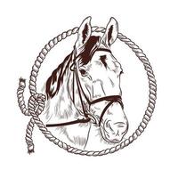 tête de cheval et illustration vectorielle de corde lasso. parfait pour le logo du ranch et de l'écurie vecteur