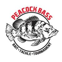 conception de logo d'illustration vectorielle de basse de paon, parfaite pour le club de pêche, le logo de tournoi et la conception de t-shirt vecteur