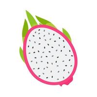 fruit du dragon. fruit sucré pour la santé. donne de la fraîcheur pendant l'été pour les végétariens vecteur