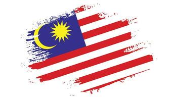vecteur de drapeau malaisie peinture main professionnelle