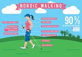 Nordic Walking Infographies données vecteur