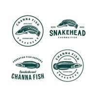 collection de logo emblème de poisson à tête de serpent. modèle de conception de logo de poisson channa vecteur