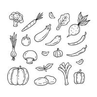 ensemble d'icônes de contour de légumes dessinés à la main. griffonnages d'aliments sains vecteur