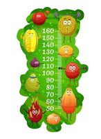 Toise pour enfants de fruits exotiques sur le fitness vecteur